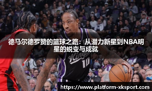 星空体育官网入口